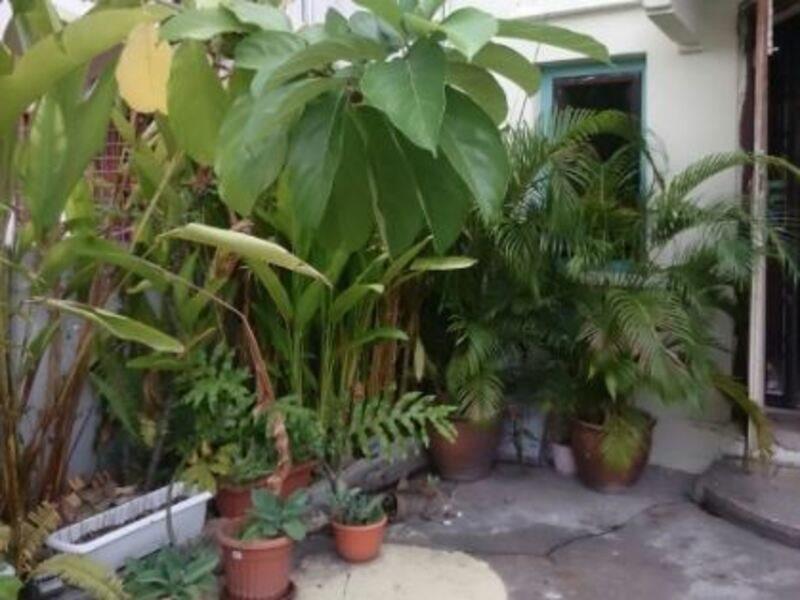 Hotel 28 Bahari George Town Esterno foto